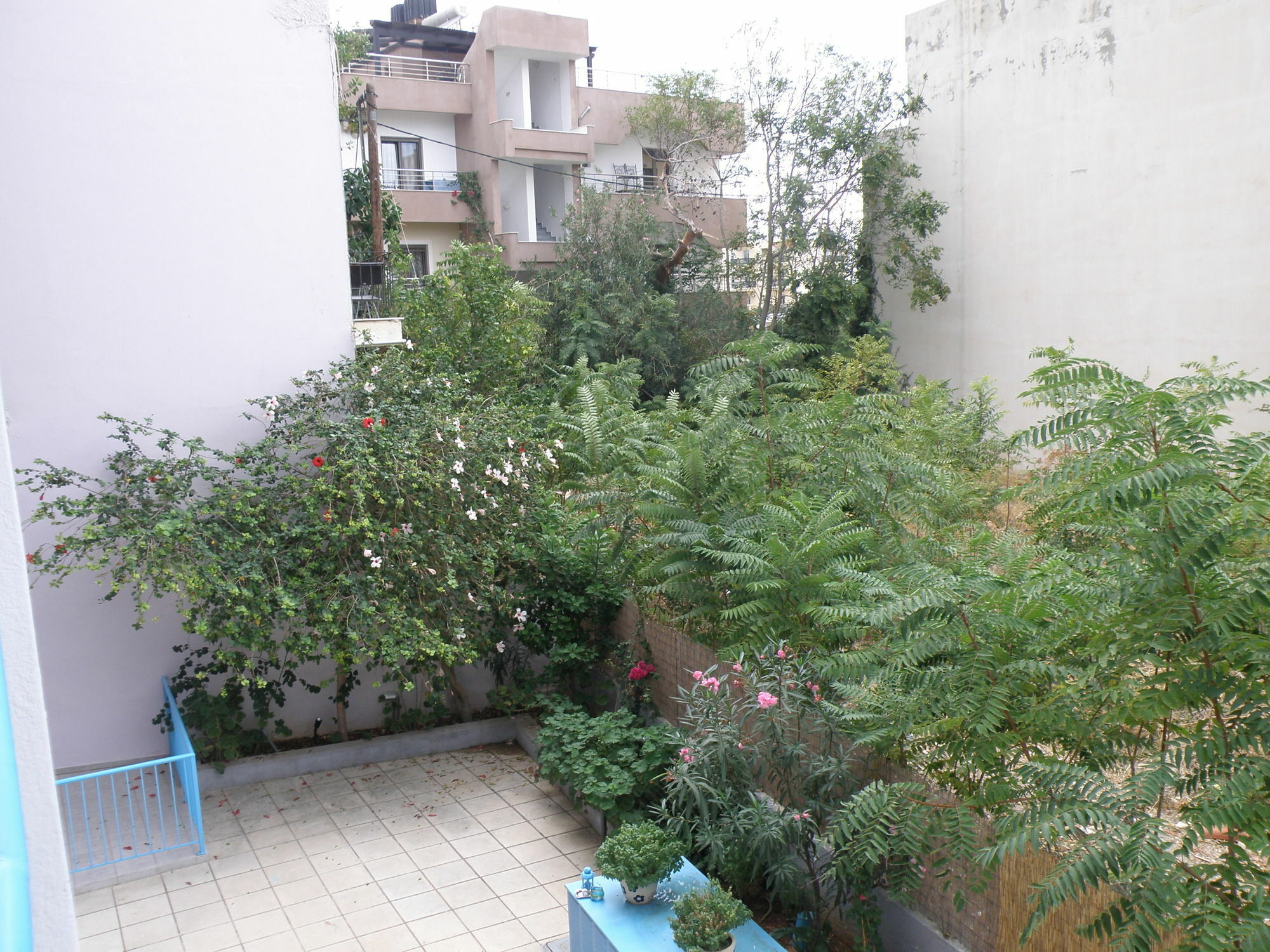Amalthia Apartments Hersonissos  Bagian luar foto